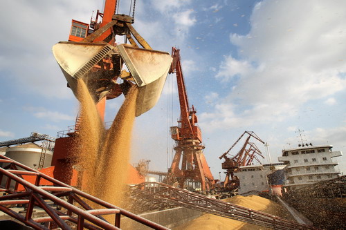 浅说港口散粮装卸如何做到粉尘防爆