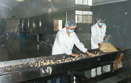 坚果类食品加工粉尘治理不可忽视