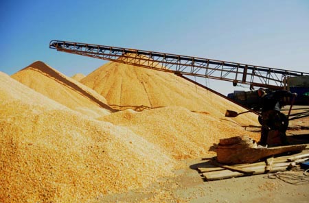 SINOVAC解说散粮作业粉尘如何控制